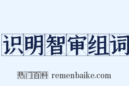 识明智审组词是什么意思的图片